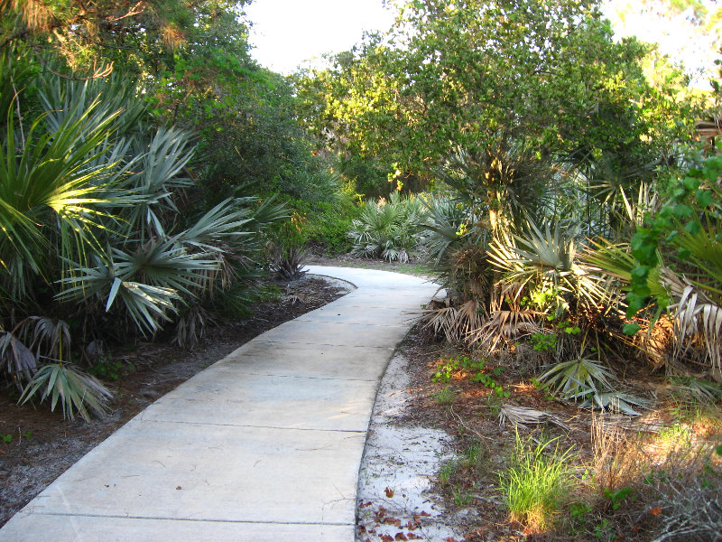 Yamato-Scrub-Natural-Area-Boca-Raton-FL-013