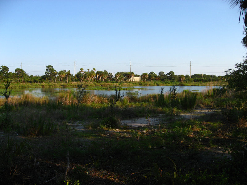 Yamato-Scrub-Natural-Area-Boca-Raton-FL-022