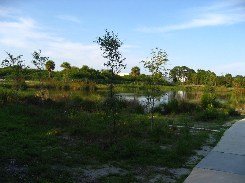 Yamato-Scrub-Natural-Area-Boca-Raton-FL-025