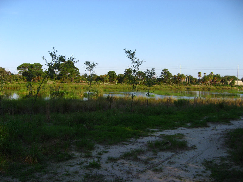 Yamato-Scrub-Natural-Area-Boca-Raton-FL-026