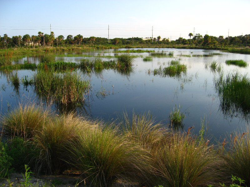 Yamato-Scrub-Natural-Area-Boca-Raton-FL-029