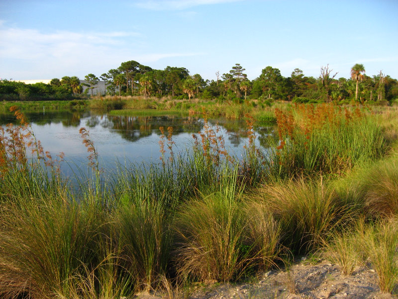 Yamato-Scrub-Natural-Area-Boca-Raton-FL-030