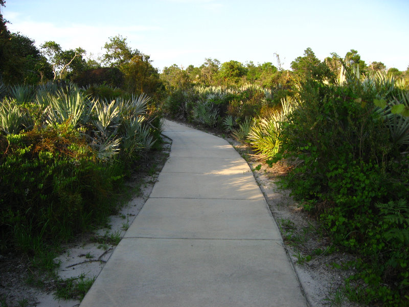 Yamato-Scrub-Natural-Area-Boca-Raton-FL-032