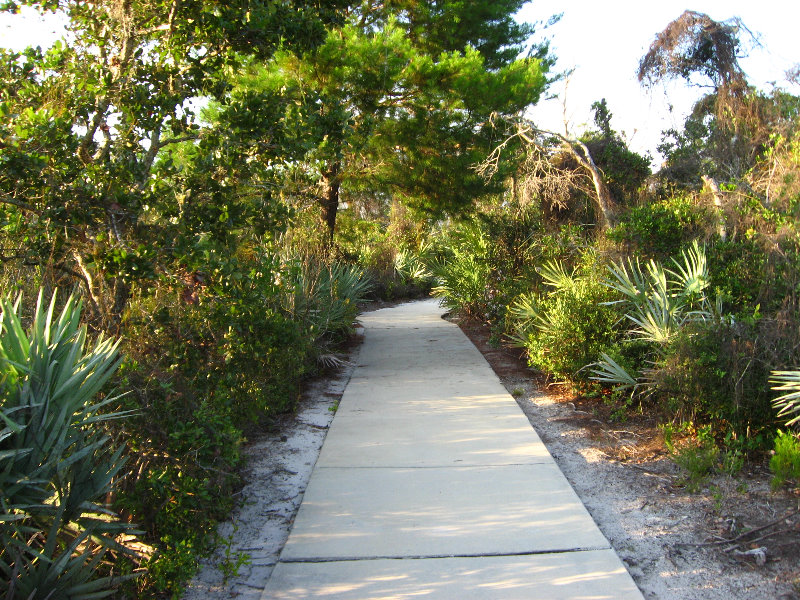 Yamato-Scrub-Natural-Area-Boca-Raton-FL-035