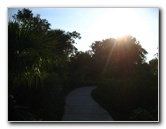 Yamato-Scrub-Natural-Area-Boca-Raton-FL-004