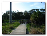 Yamato-Scrub-Natural-Area-Boca-Raton-FL-007