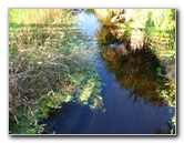 Yamato-Scrub-Natural-Area-Boca-Raton-FL-010