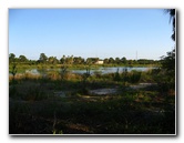 Yamato-Scrub-Natural-Area-Boca-Raton-FL-022