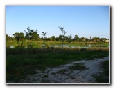 Yamato-Scrub-Natural-Area-Boca-Raton-FL-026