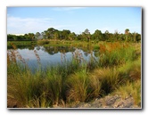 Yamato-Scrub-Natural-Area-Boca-Raton-FL-030