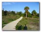 Yamato-Scrub-Natural-Area-Boca-Raton-FL-031