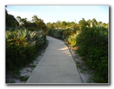 Yamato-Scrub-Natural-Area-Boca-Raton-FL-032