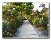 Yamato-Scrub-Natural-Area-Boca-Raton-FL-035