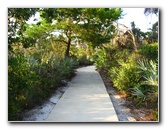 Yamato-Scrub-Natural-Area-Boca-Raton-FL-036